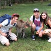 australie-morisset-kangourou-1