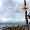australie-sydney-manly-scenic-walkway